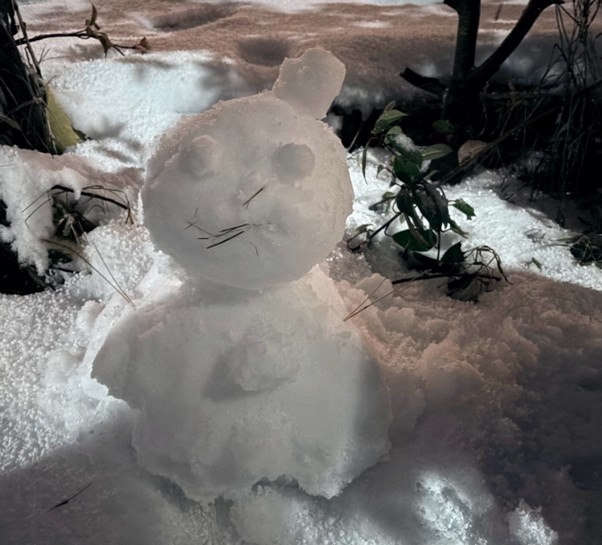 第337回学生ブログ【29きゅうDiary】「2026年が始まってもう2ヶ月!!」