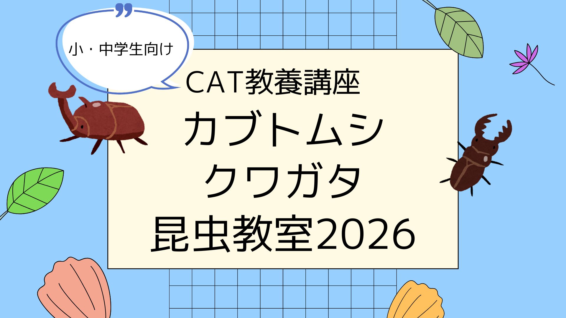 【好評につき継続開催!】第11回CAT教養講座「カブトムシ・クワガタ昆虫教室2026」